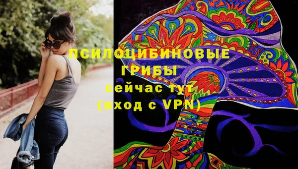 spice Семёнов