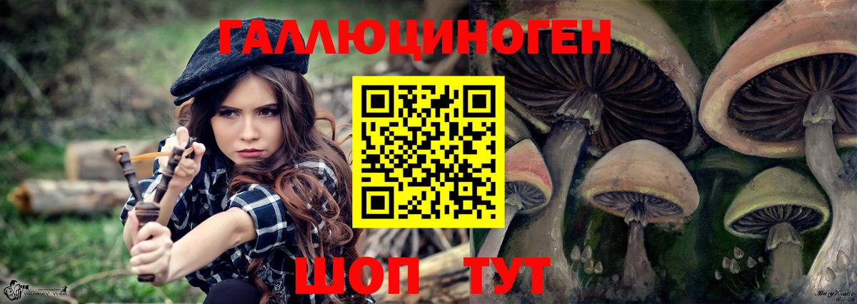 Галлюциногенные грибы GOLDEN TEACHER  купить наркотик  Вход с VPN  Губаха  Псилоцибиновые грибы Psilocybine cubensis 
