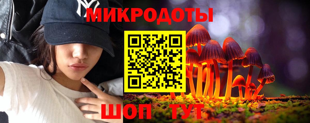 Псилоцибиновые грибы MAGIC MUSHROOMS Губаха